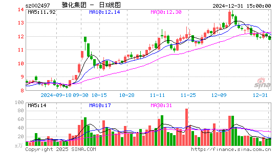 雅化集团