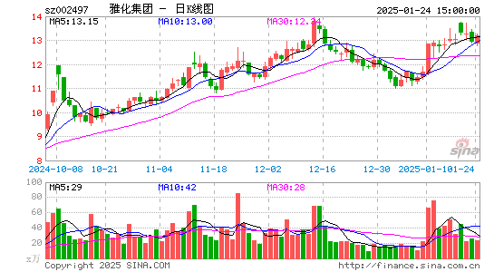 雅化集团