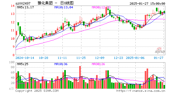 雅化集团