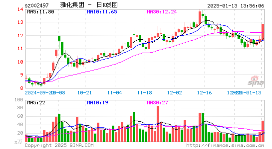 雅化集团