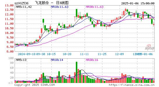 飞龙股份