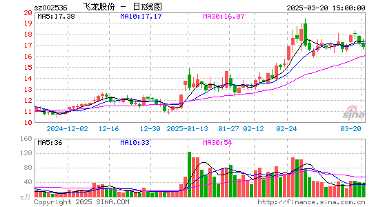 飞龙股份