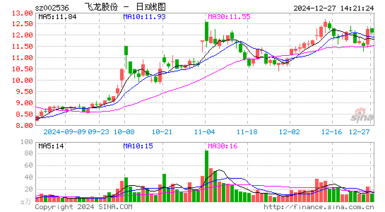 飞龙股份