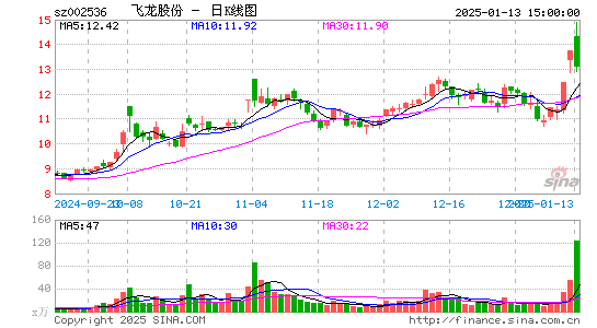 飞龙股份