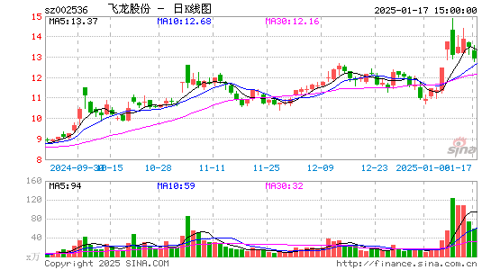 飞龙股份