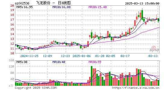 飞龙股份