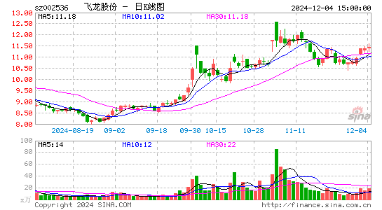 飞龙股份