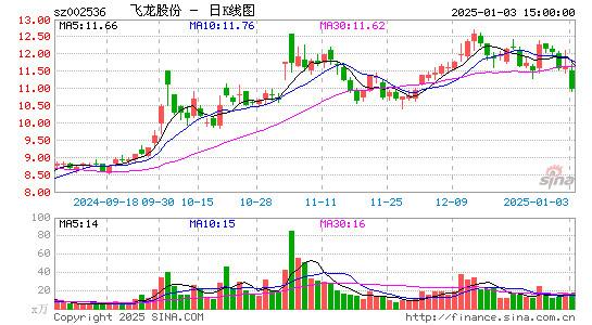 飞龙股份