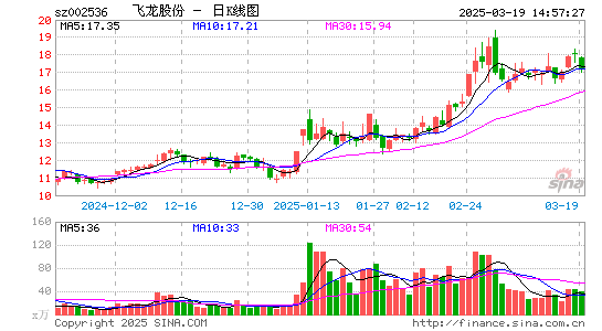 飞龙股份