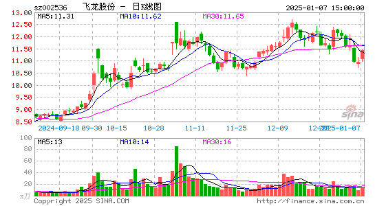 飞龙股份