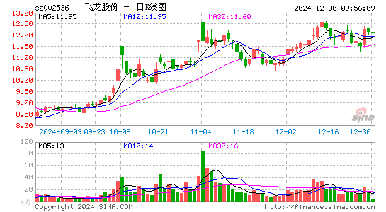 飞龙股份