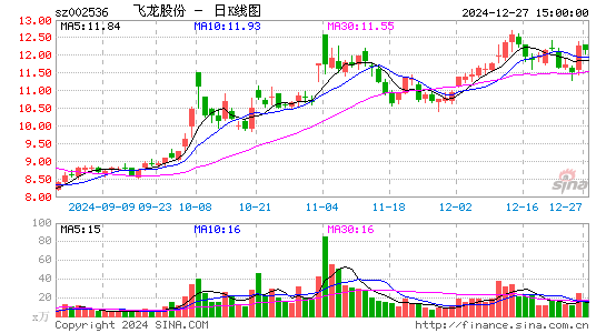 飞龙股份