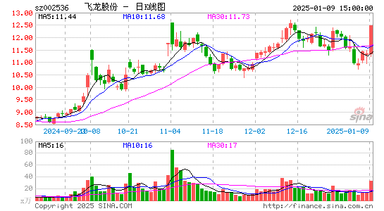 飞龙股份