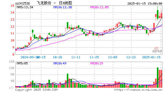 飞龙股份