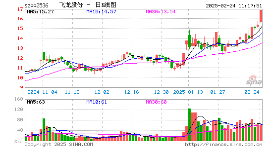 飞龙股份