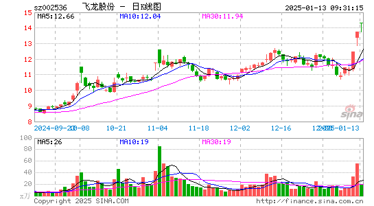 飞龙股份