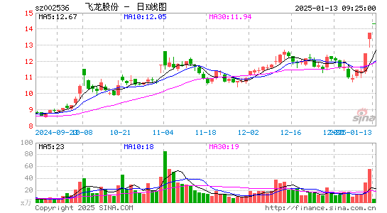 飞龙股份