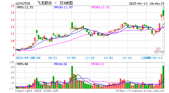 飞龙股份