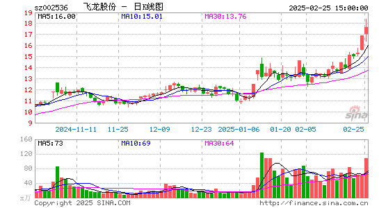 飞龙股份