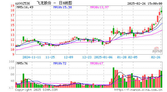 飞龙股份