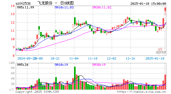 飞龙股份