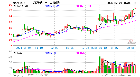 飞龙股份