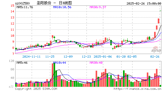 圣阳股份