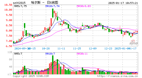 哈尔斯