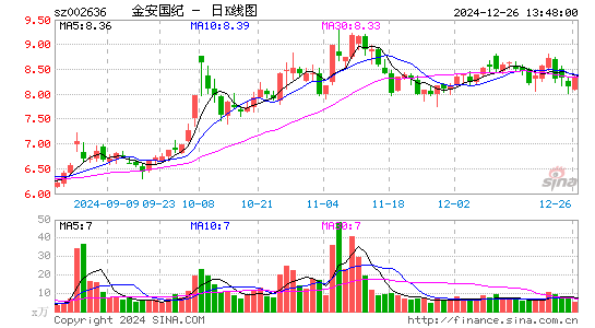 金安国纪