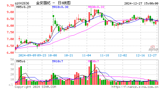 金安国纪