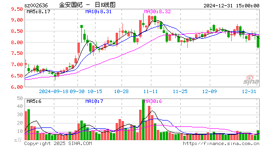 金安国纪