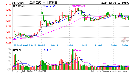 金安国纪