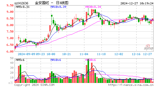 金安国纪