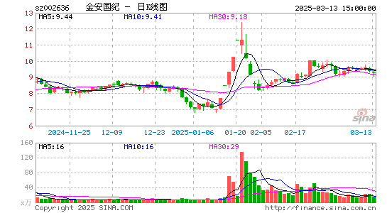 金安国纪