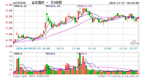 金安国纪