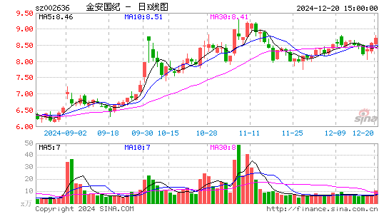 金安国纪