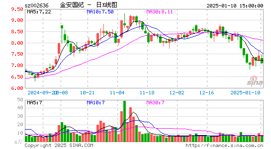 金安国纪