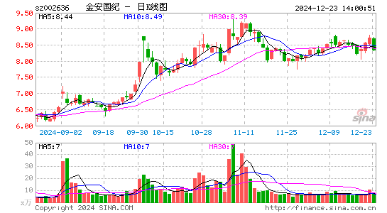 金安国纪