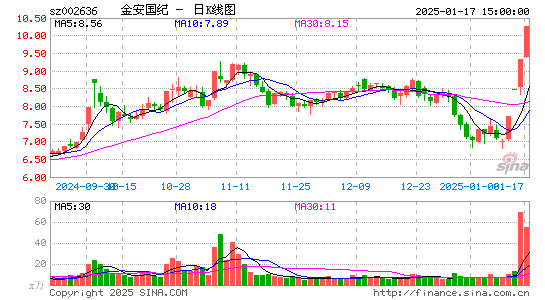 金安国纪