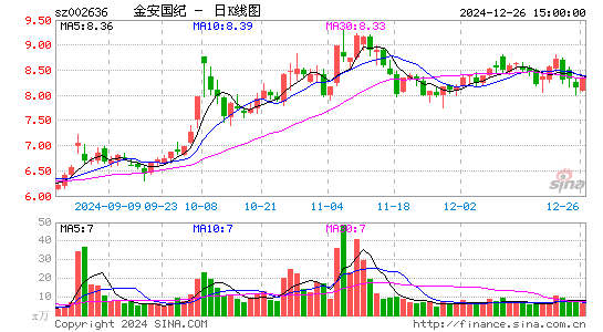 金安国纪