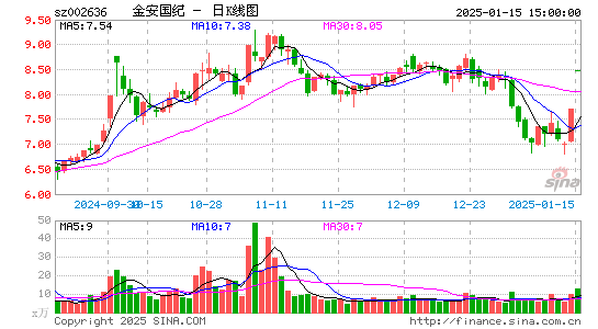 金安国纪