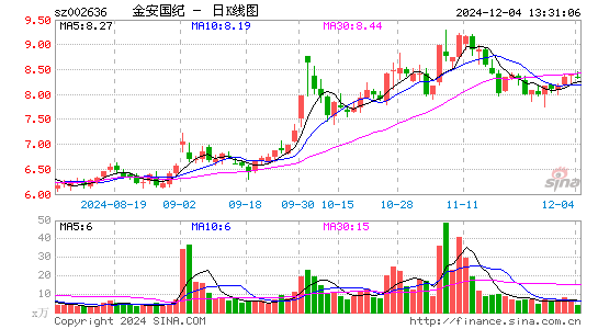 金安国纪