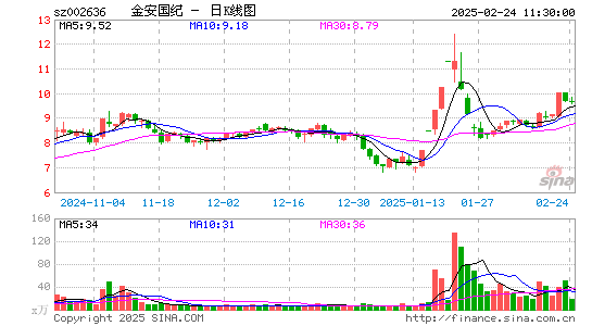 金安国纪