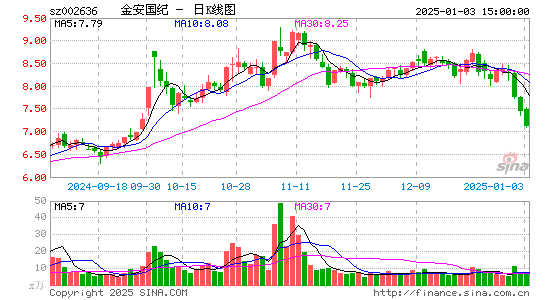 金安国纪