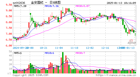 金安国纪