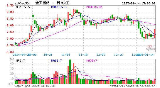 金安国纪