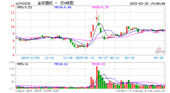 金安国纪