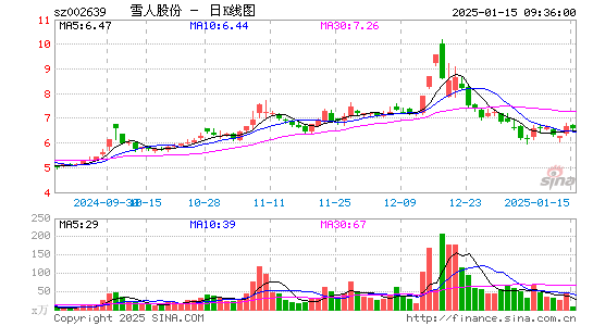 雪人股份