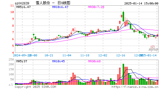 雪人股份