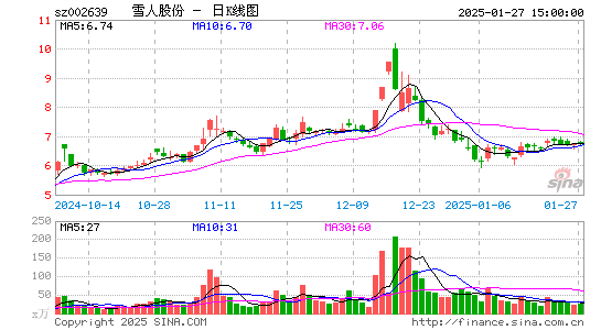 雪人股份